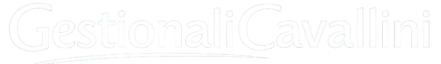 GestionaliCavallini.com - Gestionali AI Su Misura